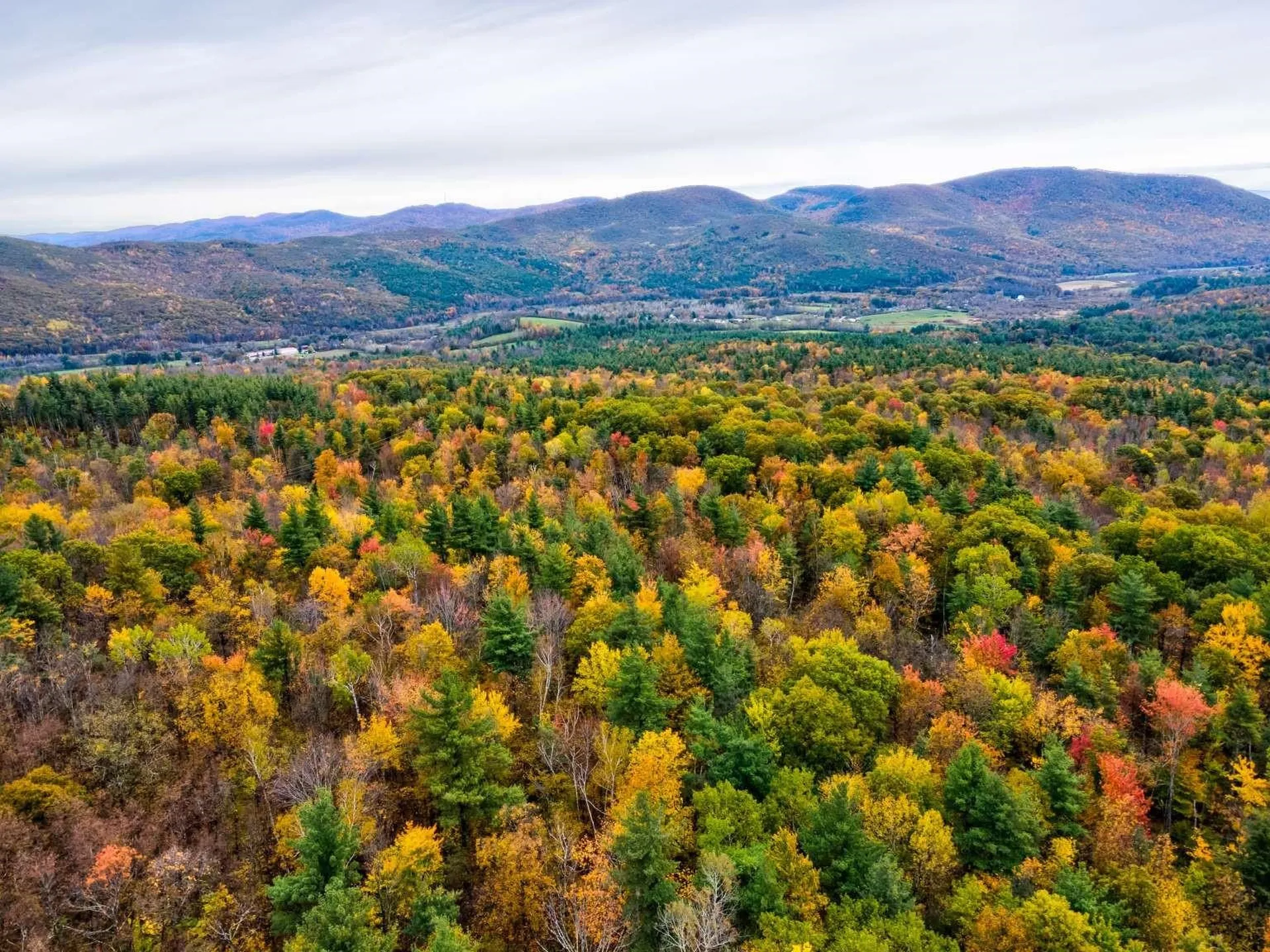 Lot 9 South Applesauce Hill Castleton VT 05735