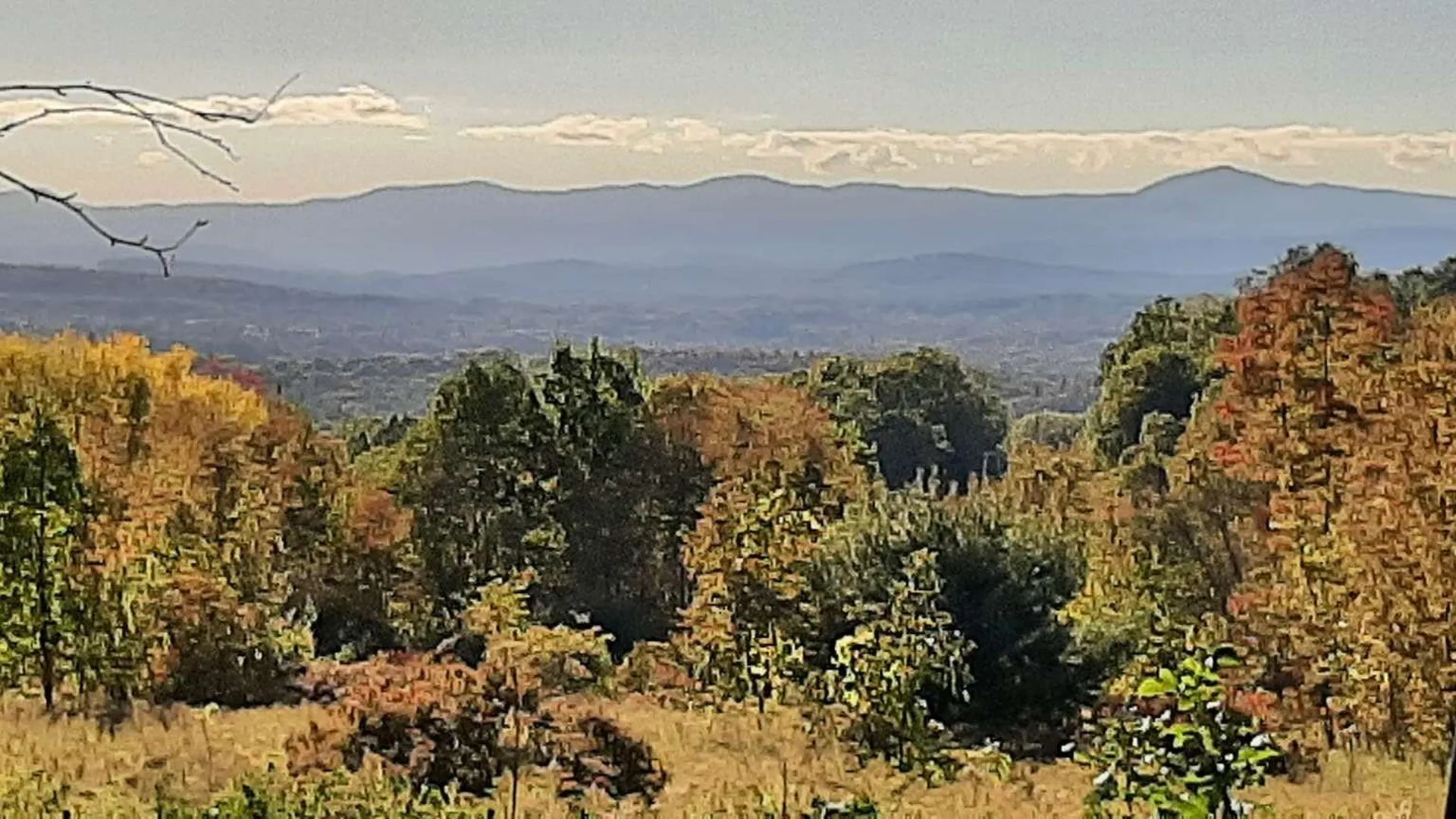 Lot 9 South Applesauce Hill Castleton VT 05735