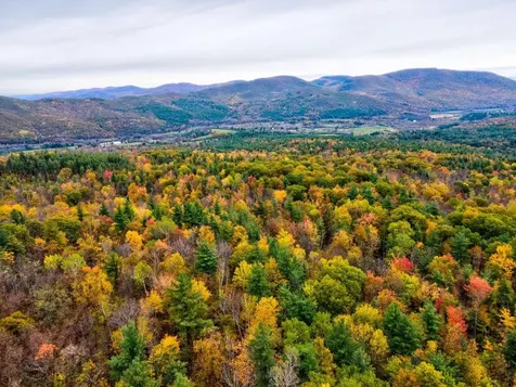 Lot 9 South Applesauce Hill Castleton VT 05735