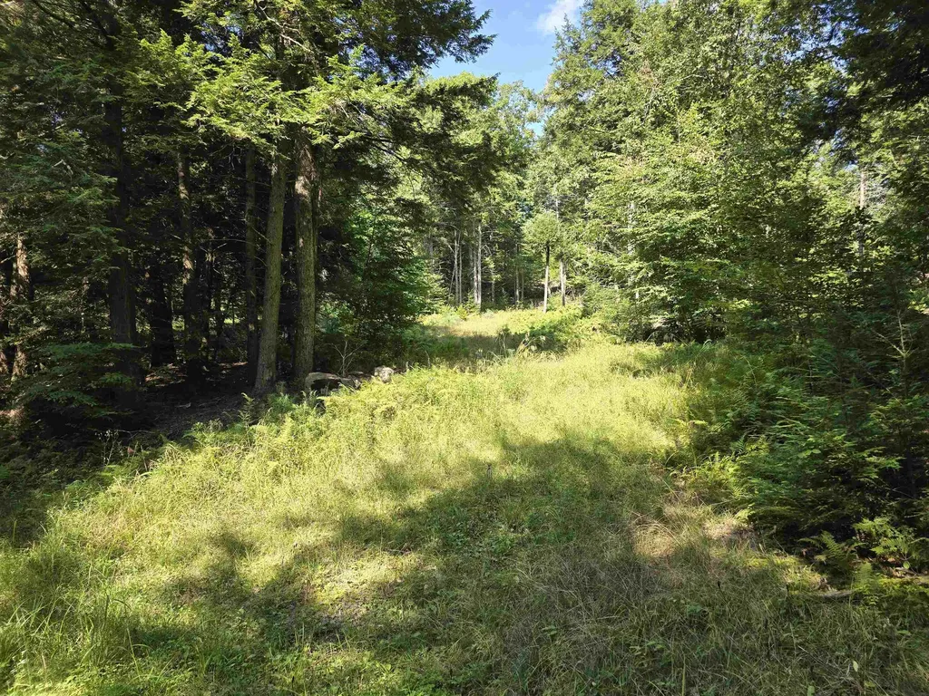 0 Magee Road Stamford VT 05352