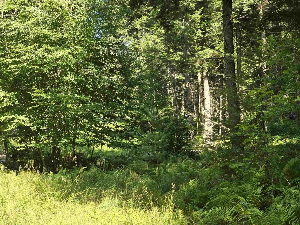 0 Magee Road Stamford VT 05352