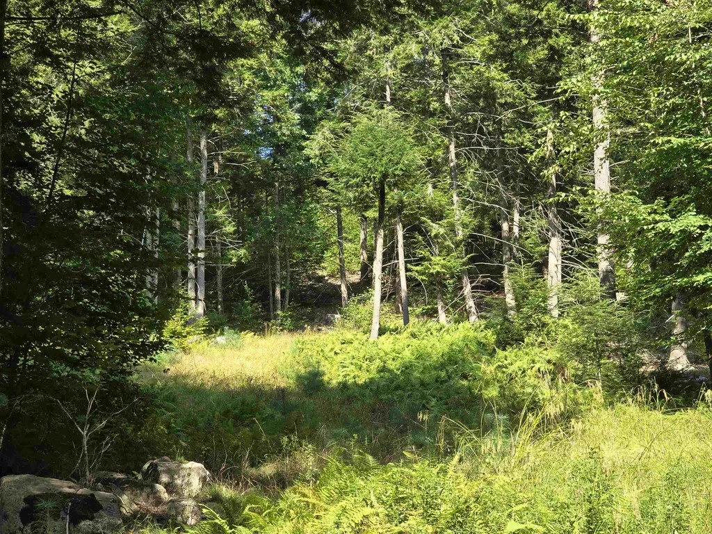 0 Magee Road Stamford VT 05352
