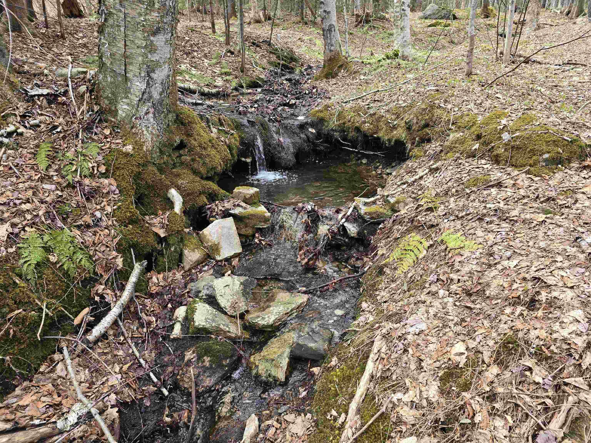 0 Magee Road Stamford VT 05352