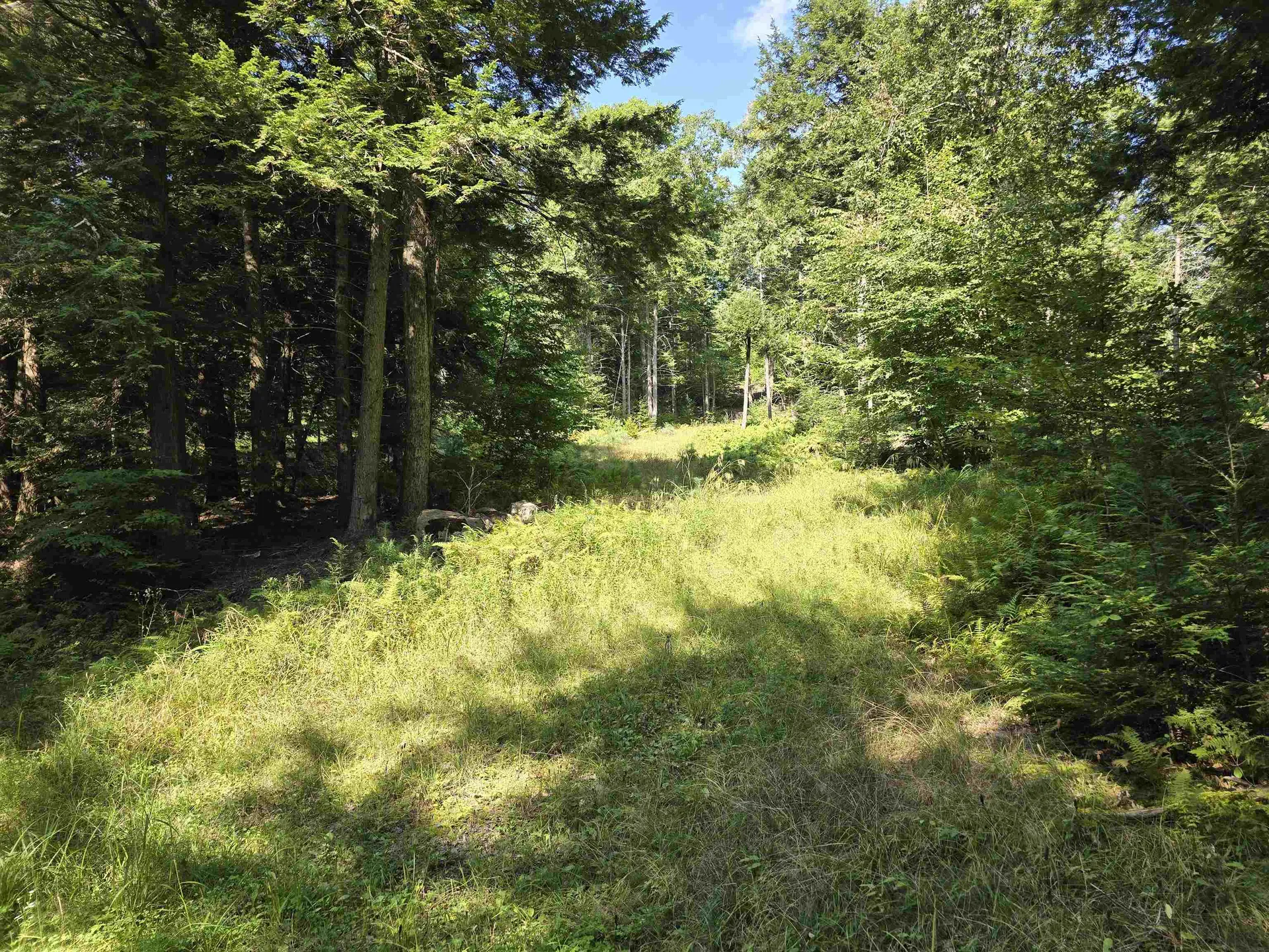 0 Magee Road Stamford VT 05352