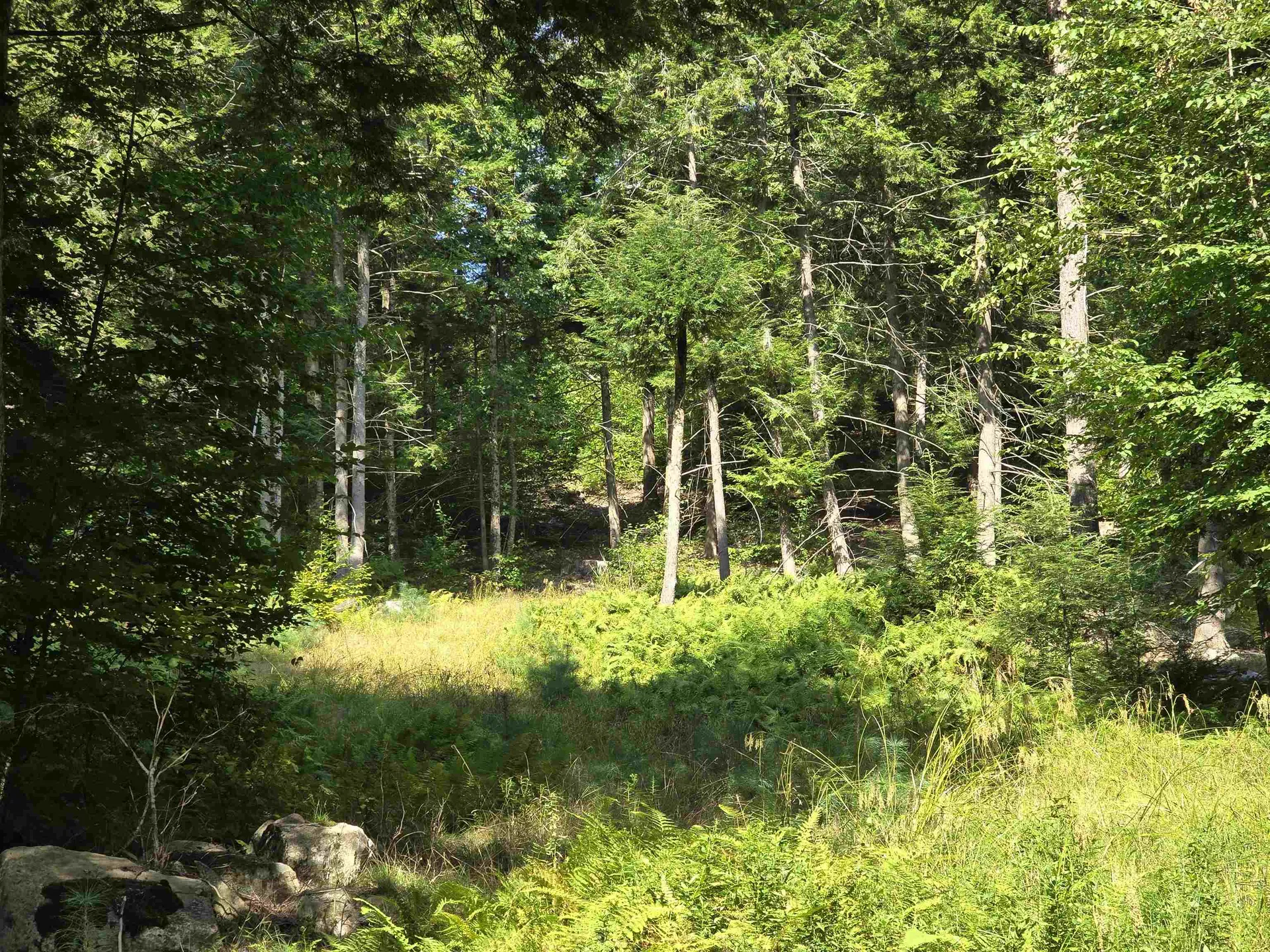 0 Magee Road Stamford VT 05352