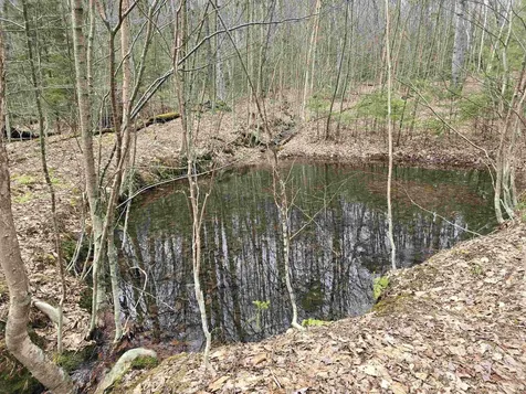 0 Magee Road Stamford VT 05352