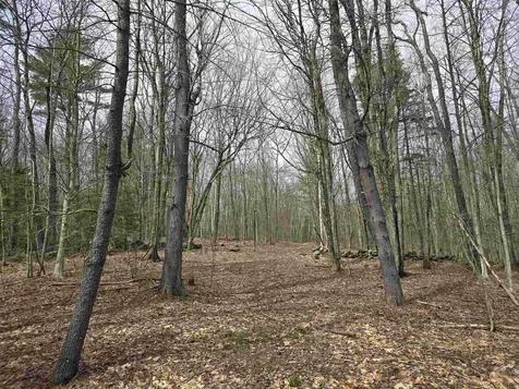 0 Magee Road Stamford VT 05352