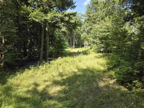 0 Magee Road Stamford VT 05352