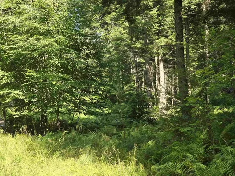 0 Magee Road Stamford VT 05352