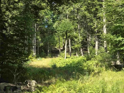 0 Magee Road Stamford VT 05352