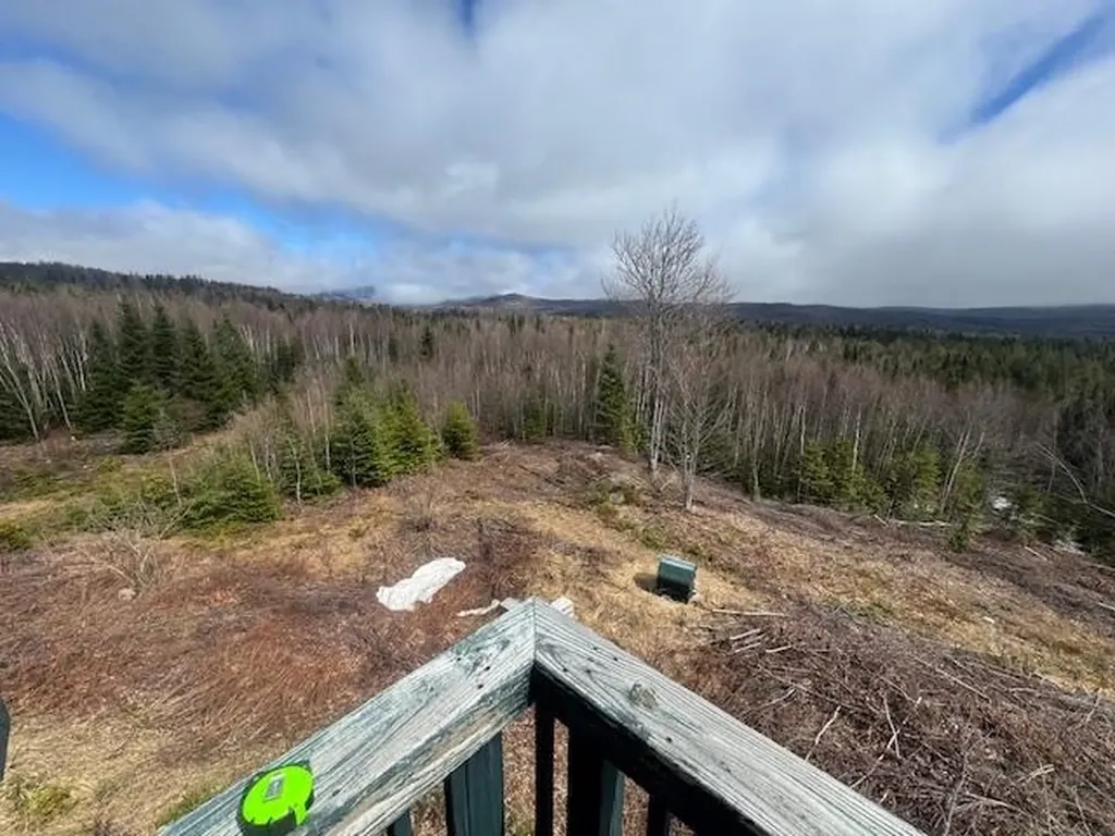 639 Pinnicle Road Newark VT 05871