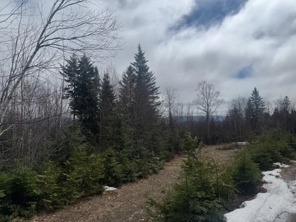 639 Pinnicle Road Newark VT 05871