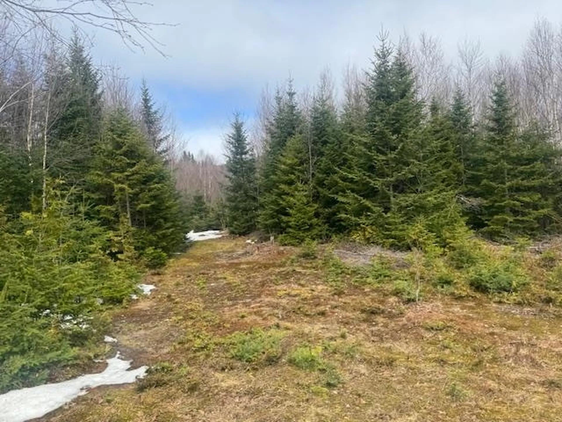 639 Pinnicle Road Newark VT 05871