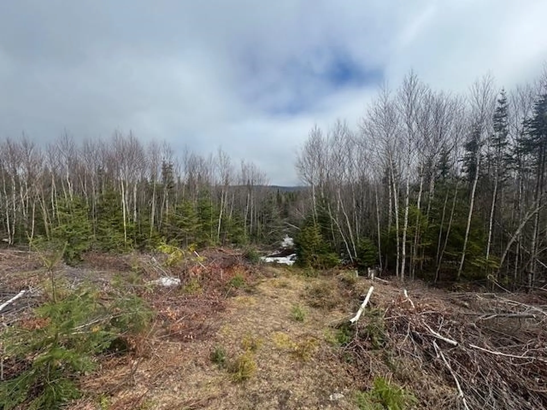 639 Pinnicle Road Newark VT 05871