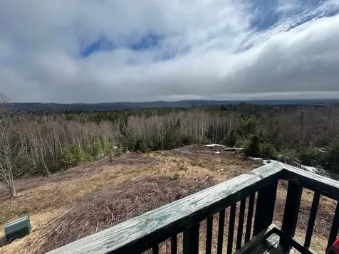 639 Pinnicle Road Newark VT 05871