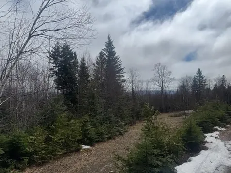 639 Pinnicle Road Newark VT 05871
