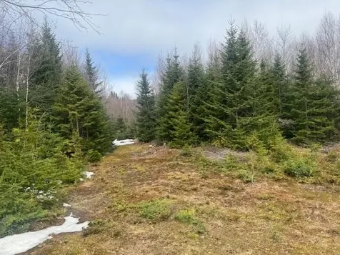639 Pinnicle Road Newark VT 05871