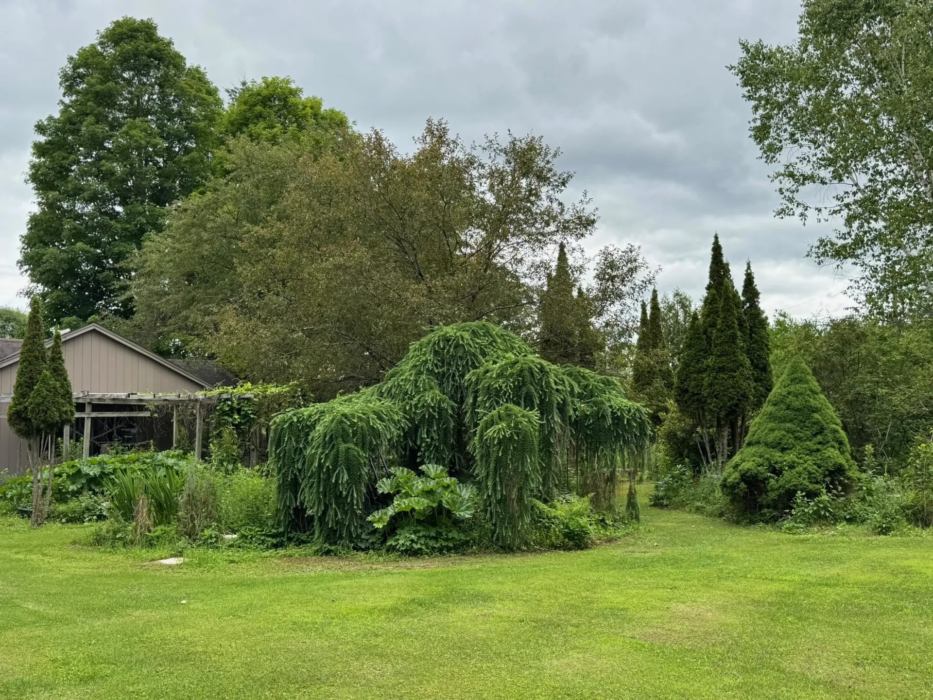 205 Loomis Hill Road Waterbury VT 05677