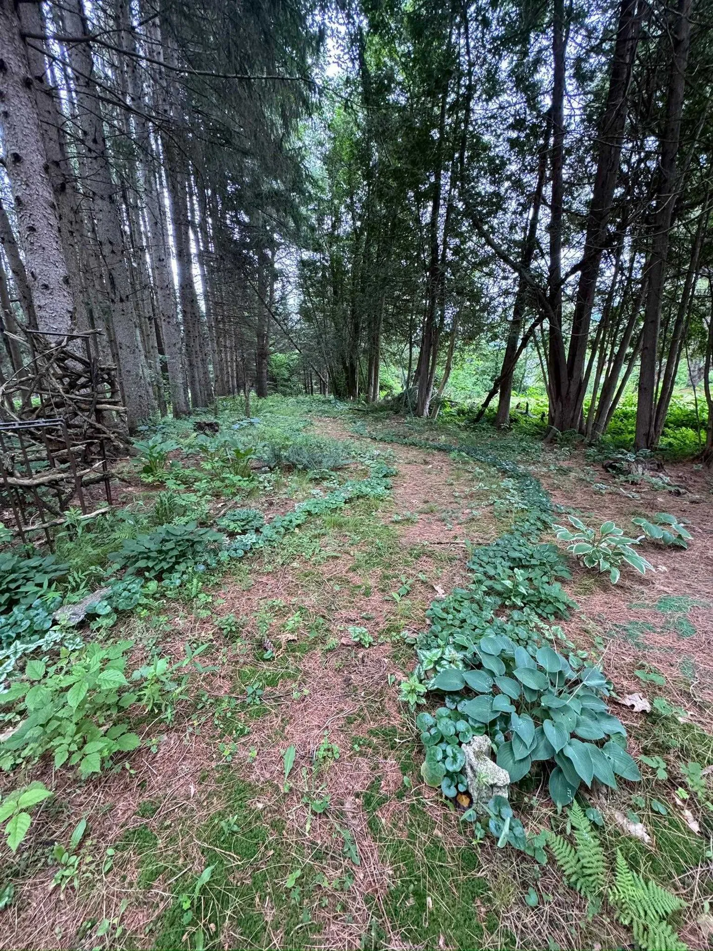 205 Loomis Hill Road Waterbury VT 05677
