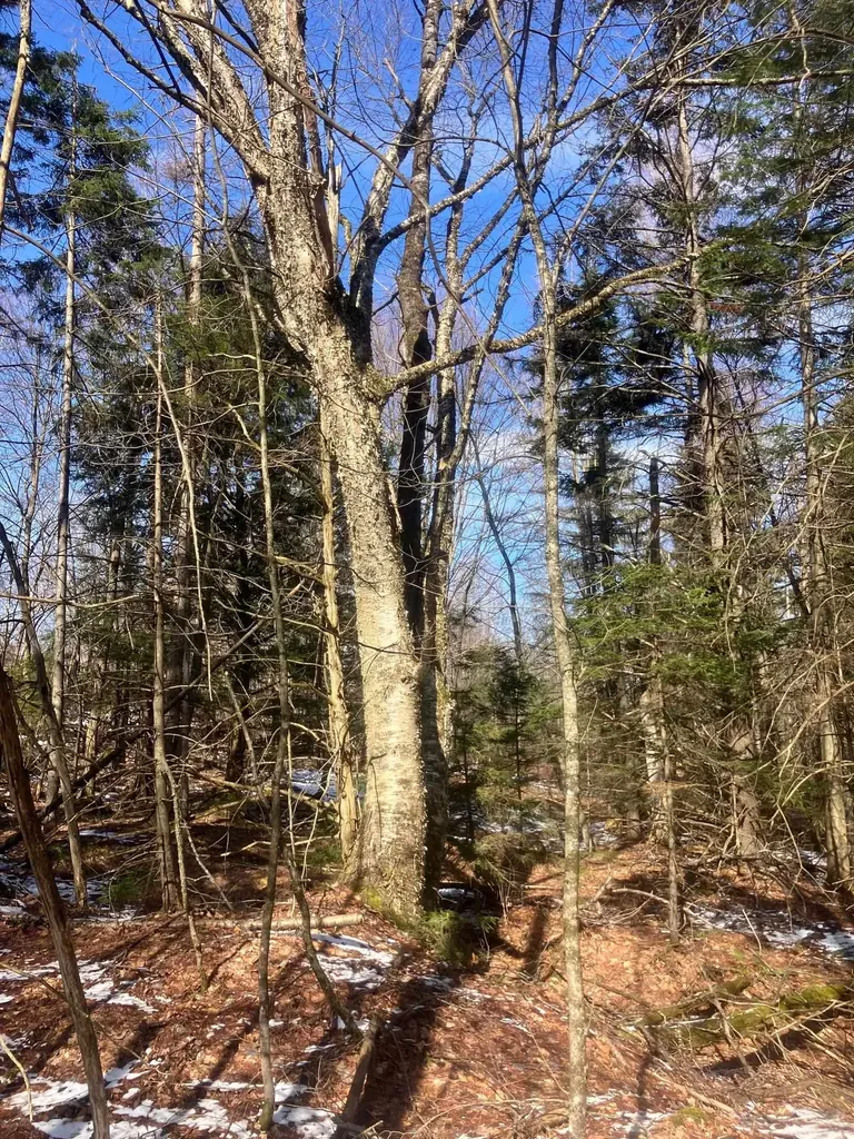 351 Mcallister Road Richford VT 05476
