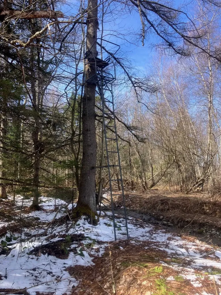 351 Mcallister Road Richford VT 05476