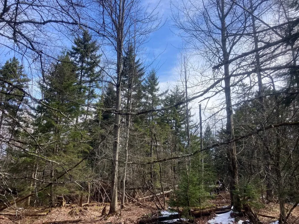 351 Mcallister Road Richford VT 05476