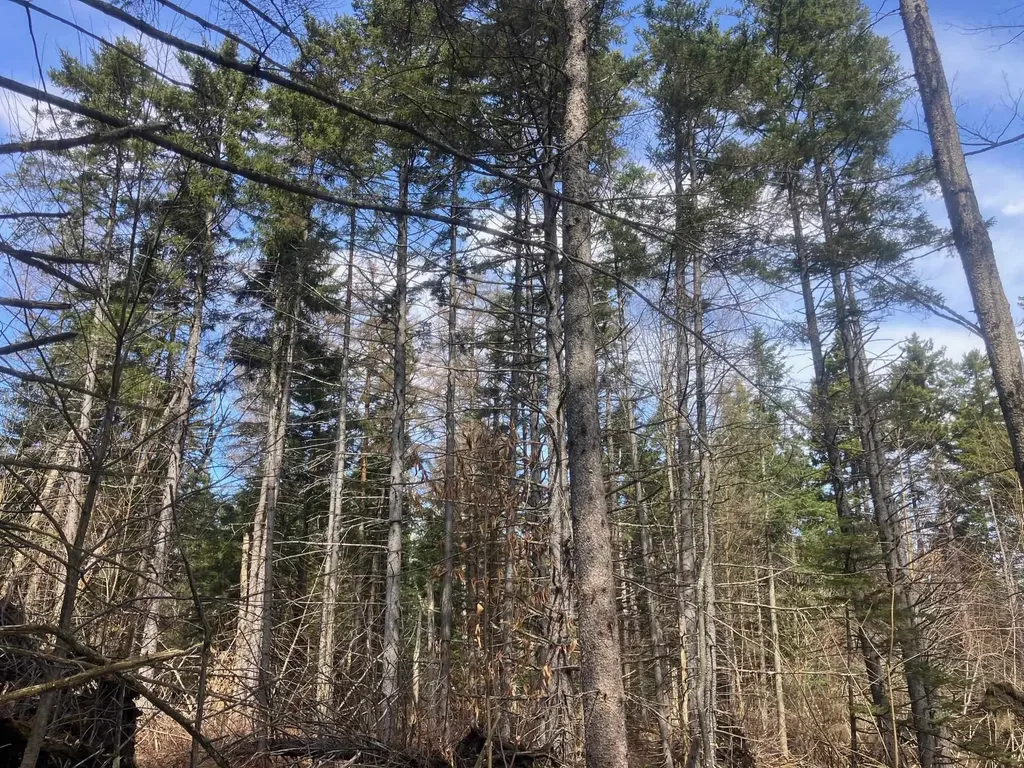 351 Mcallister Road Richford VT 05476