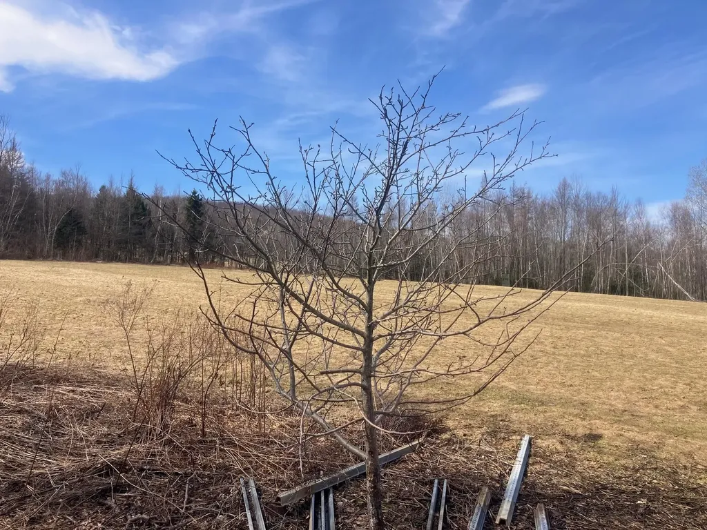 351 Mcallister Road Richford VT 05476