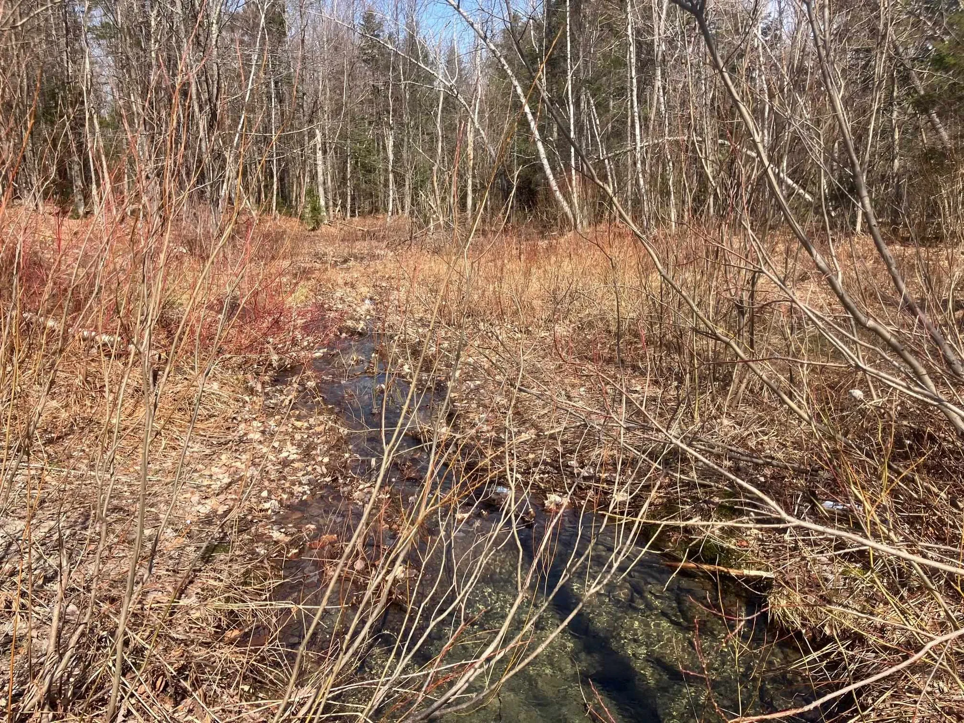 351 Mcallister Road Richford VT 05476