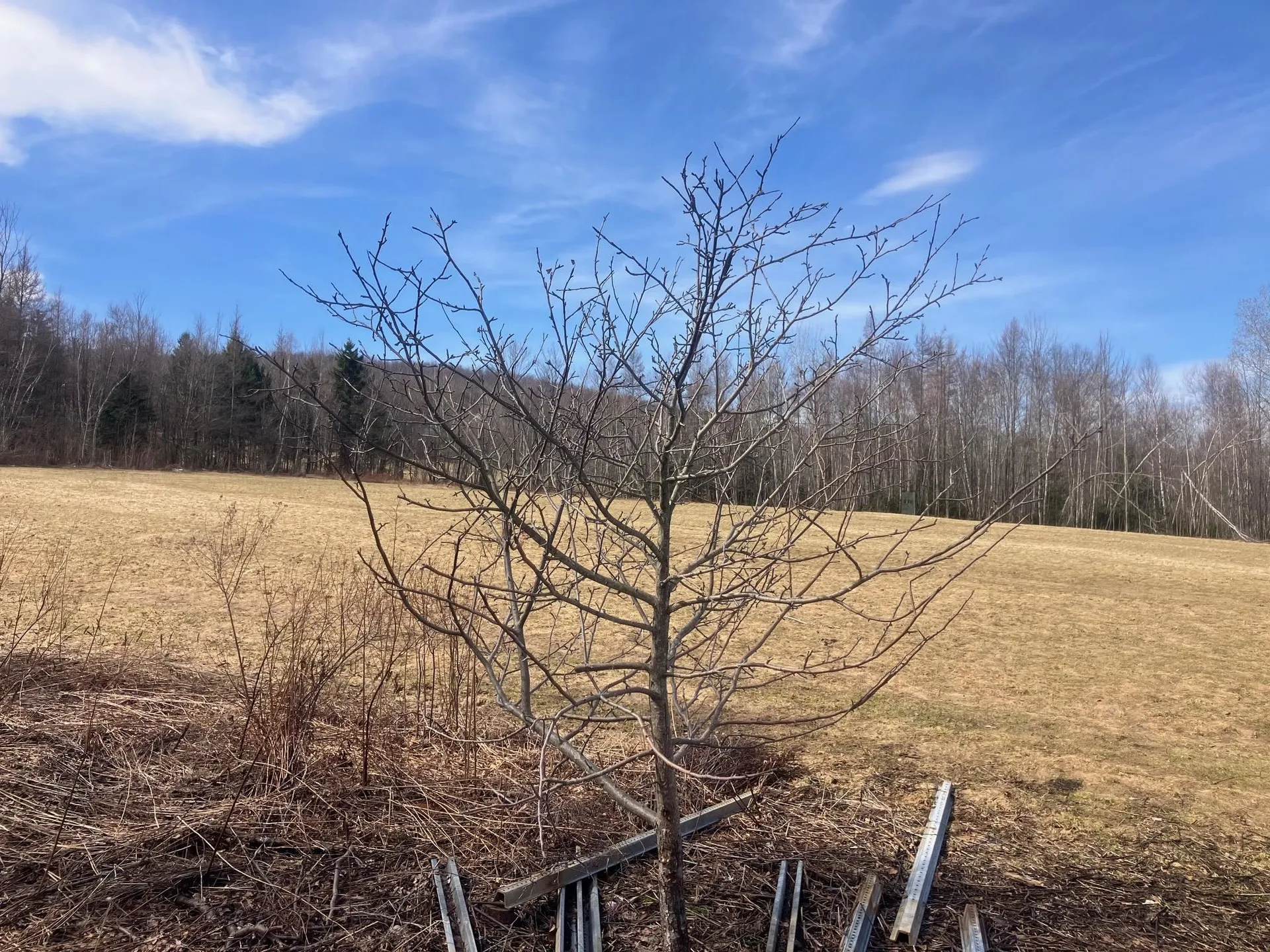 351 Mcallister Road Richford VT 05476
