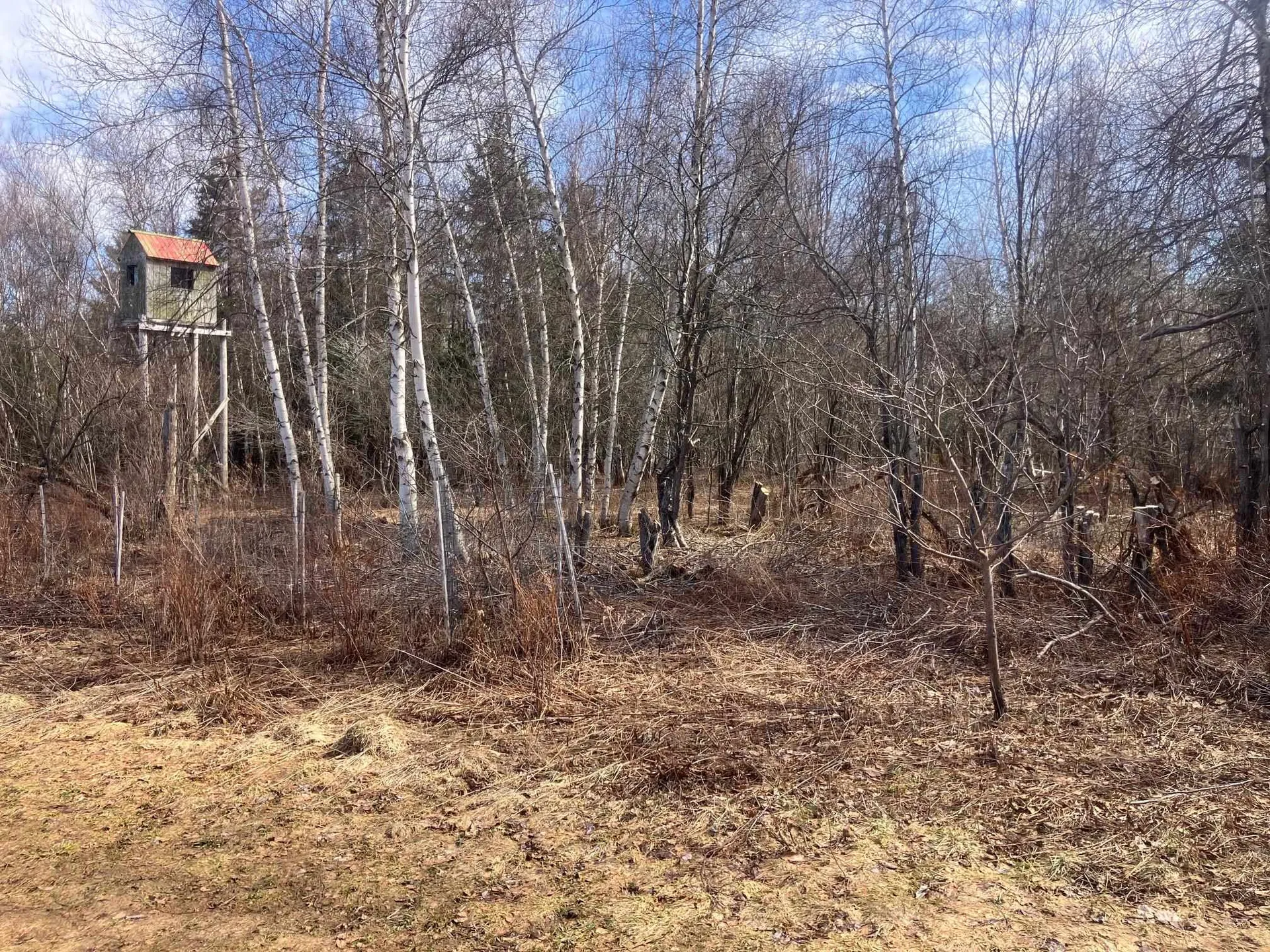 351 Mcallister Road Richford VT 05476
