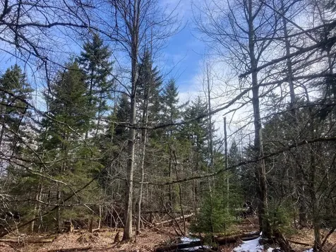351 Mcallister Road Richford VT 05476