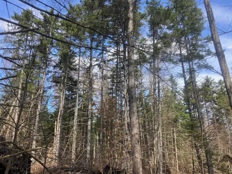 351 Mcallister Road Richford VT 05476