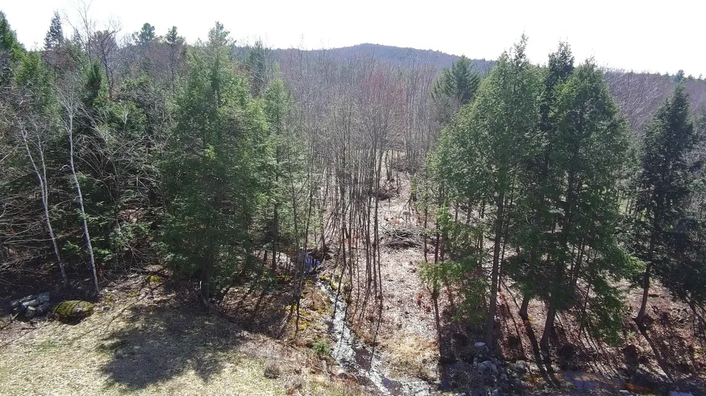 0 Thurber Road Unity NH 03773
