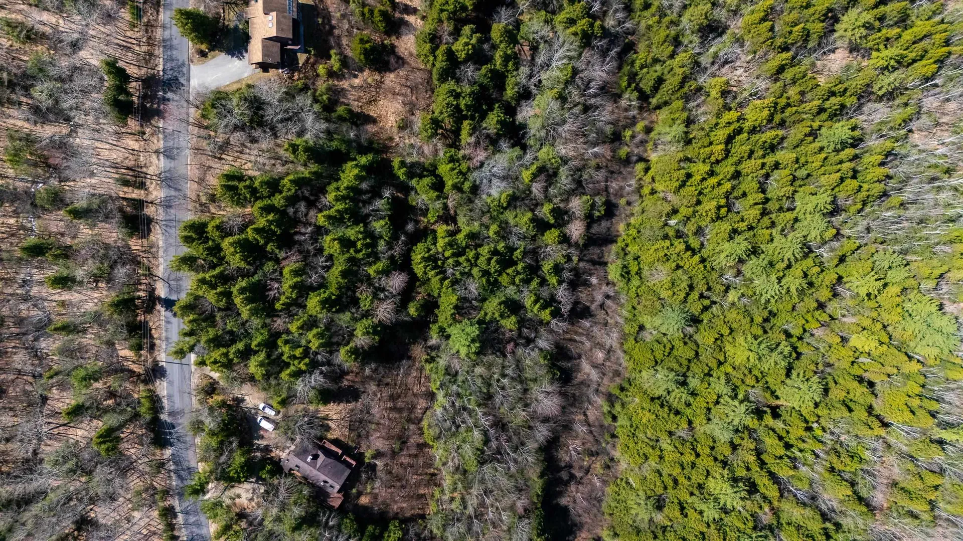 00 Green Hill Road Jackson NH 03846