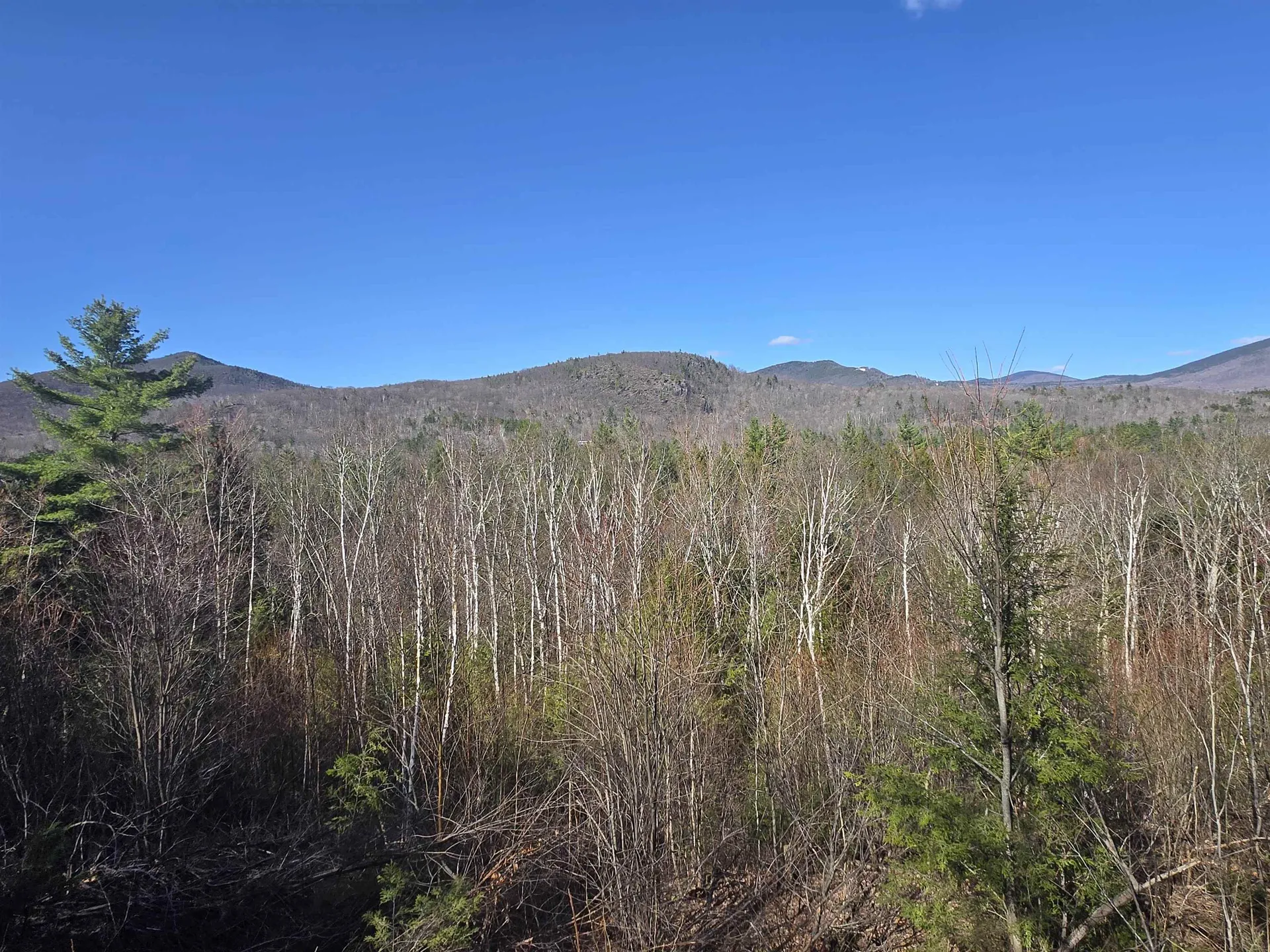 00 Green Hill Road Jackson NH 03846