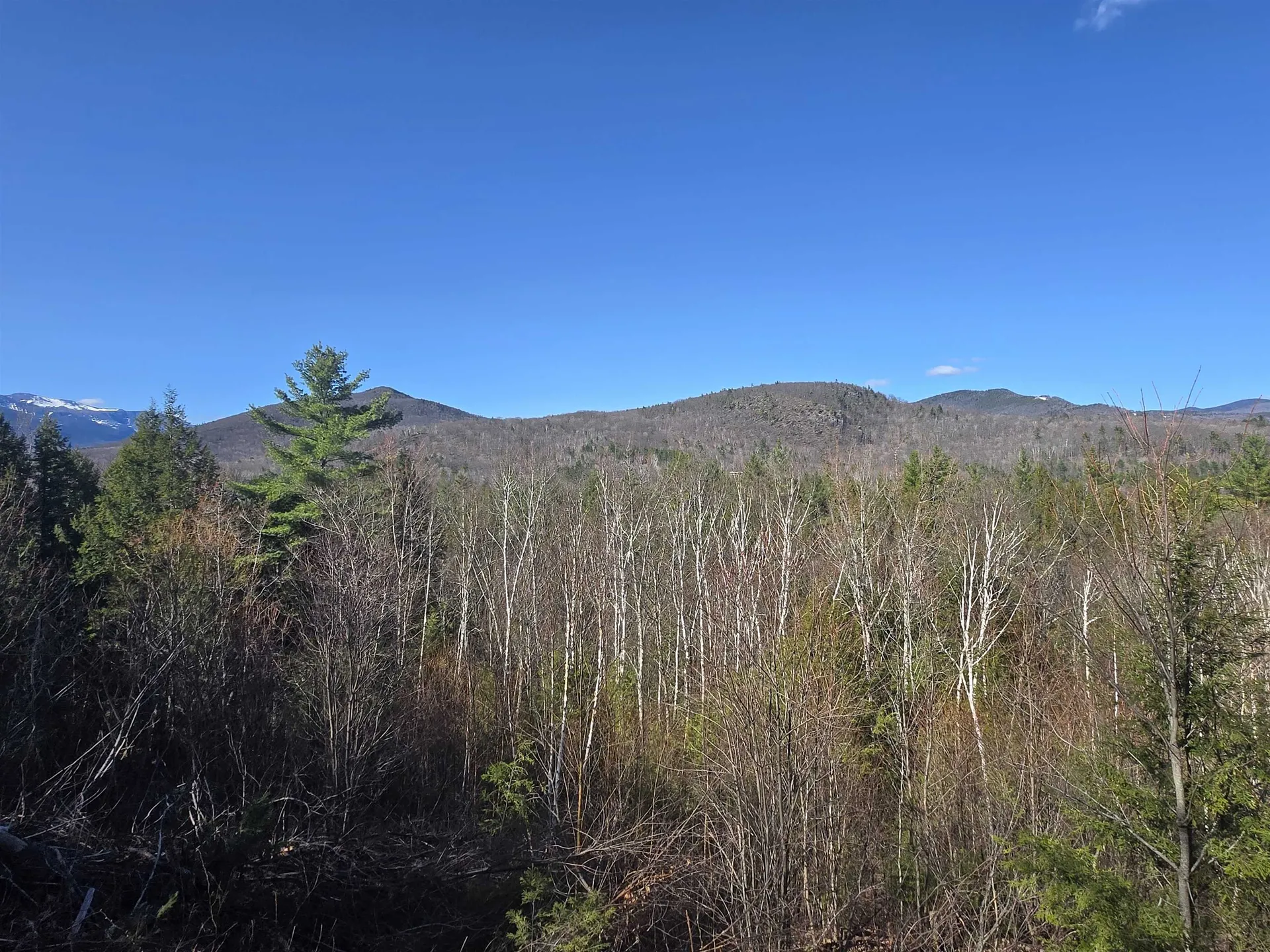 00 Green Hill Road Jackson NH 03846