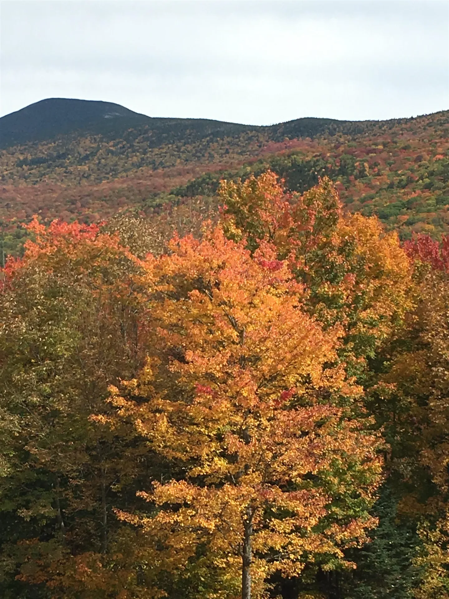 1063 New Hampshire Route 25 Warren NH 03279
