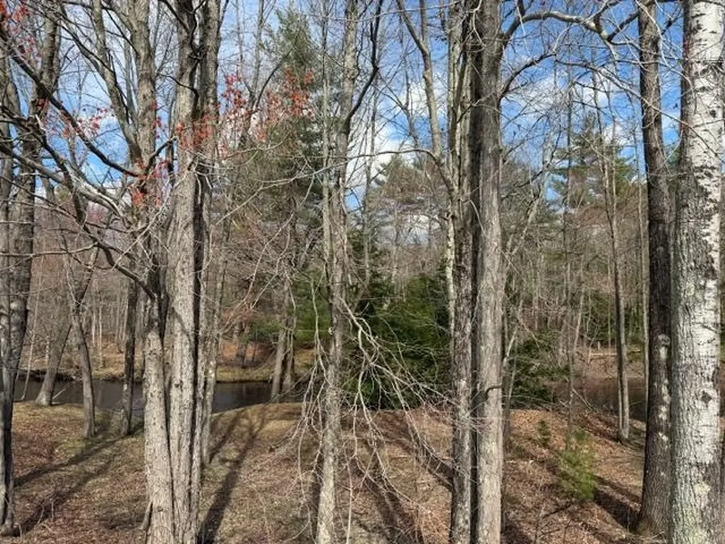 68 Daffodil Hill Lane Rochester NH 03868
