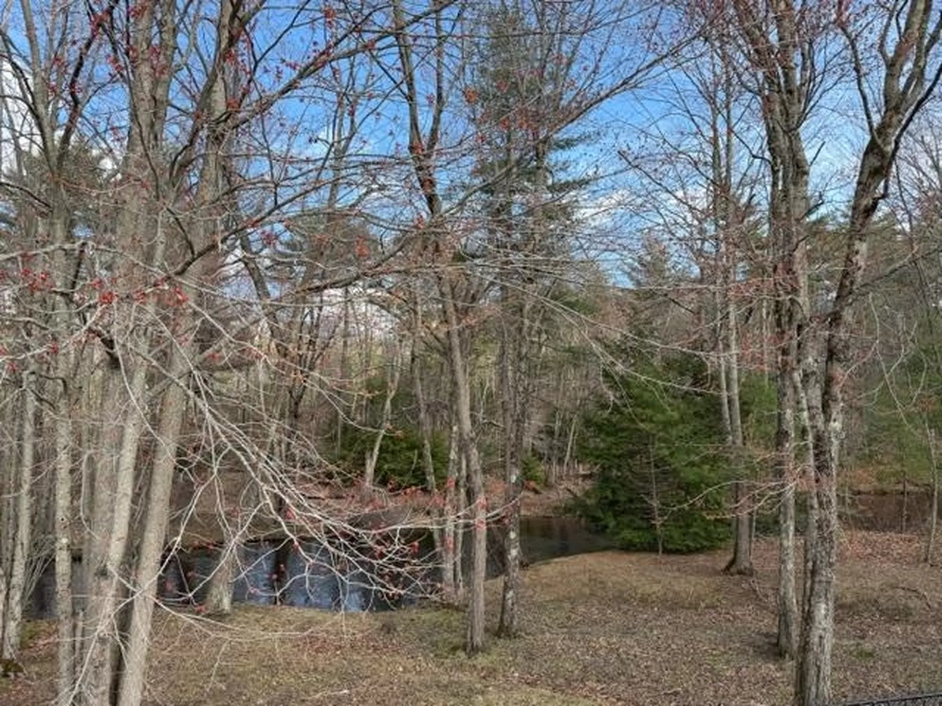 68 Daffodil Hill Lane Rochester NH 03868