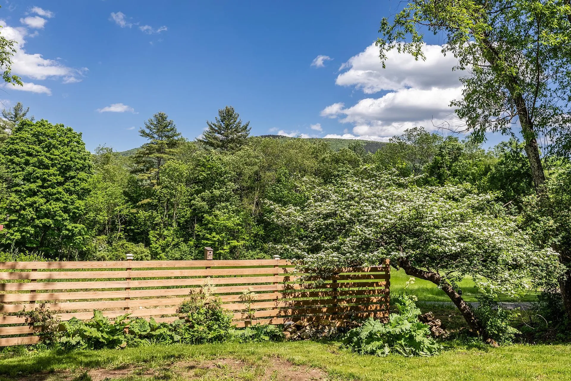 393 Morse Hill Road Dorset VT 05253