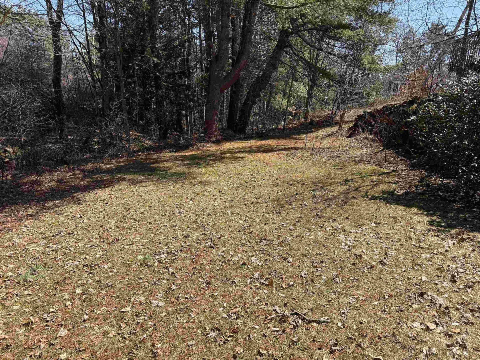 8 Spring Brook Road Newport NH 03773