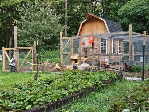68 White Rock Hill Road Bow NH 03304