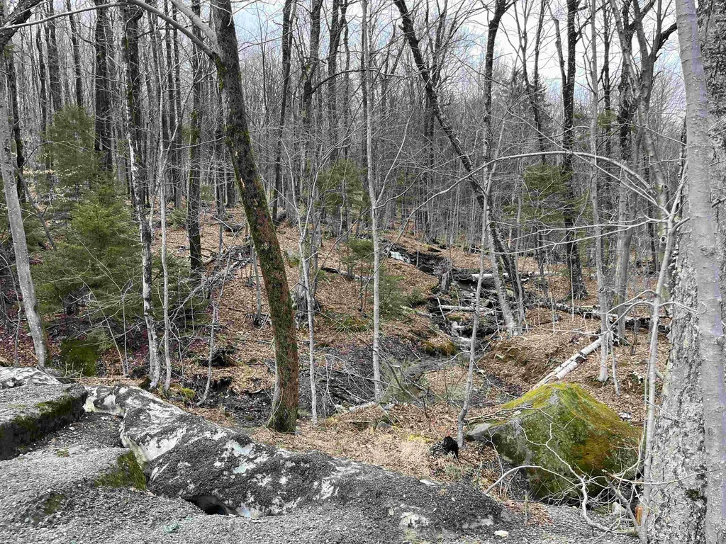 9F Brumms Way Dover VT 05356