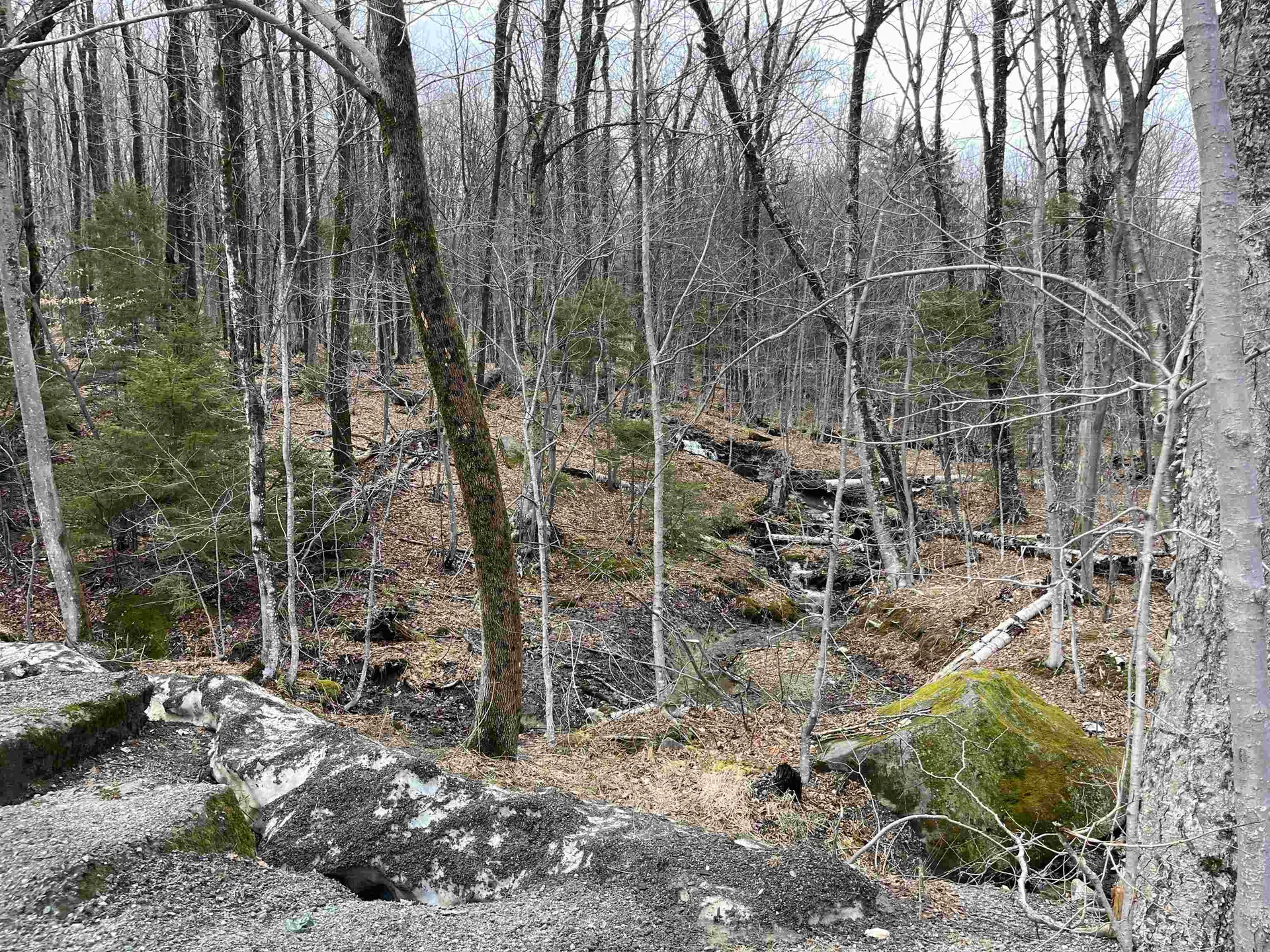 9F Brumms Way Dover VT 05356