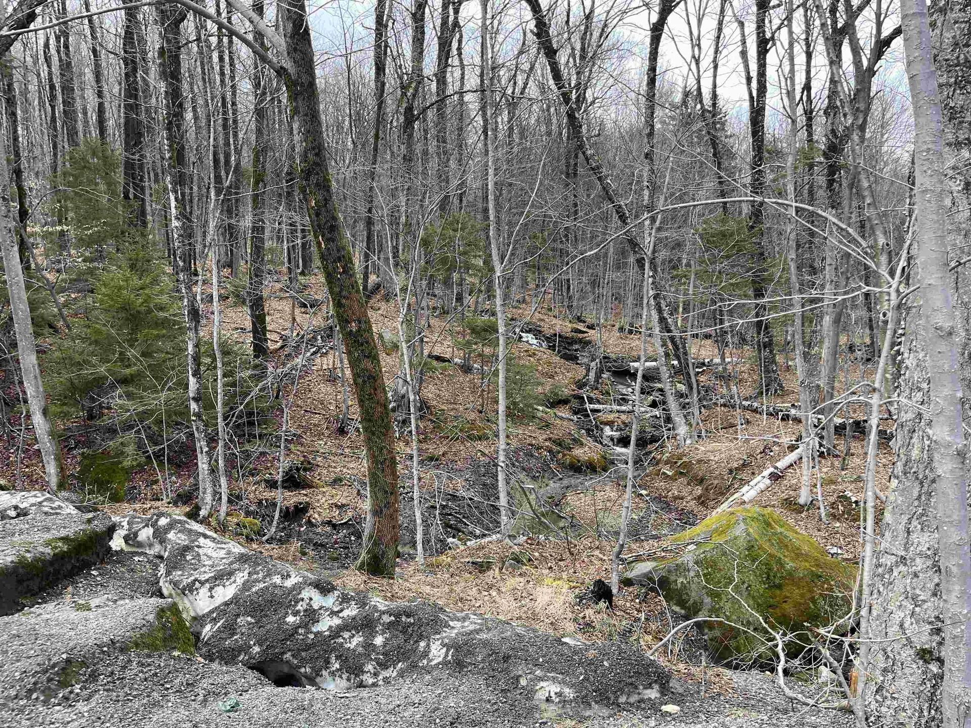 9F Brumms Way Dover VT 05356