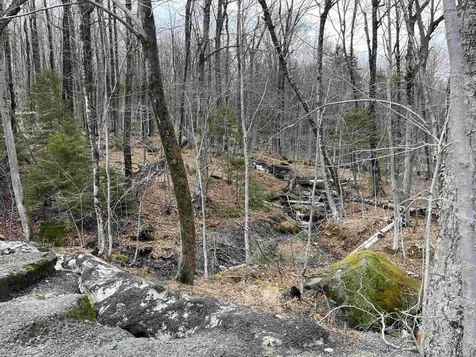 9F Brumms Way Dover VT 05356