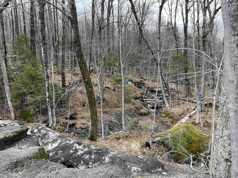 9F Brumms Way Dover VT 05356