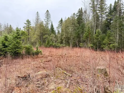 4334 Hinman Settler Road Derby VT 05829