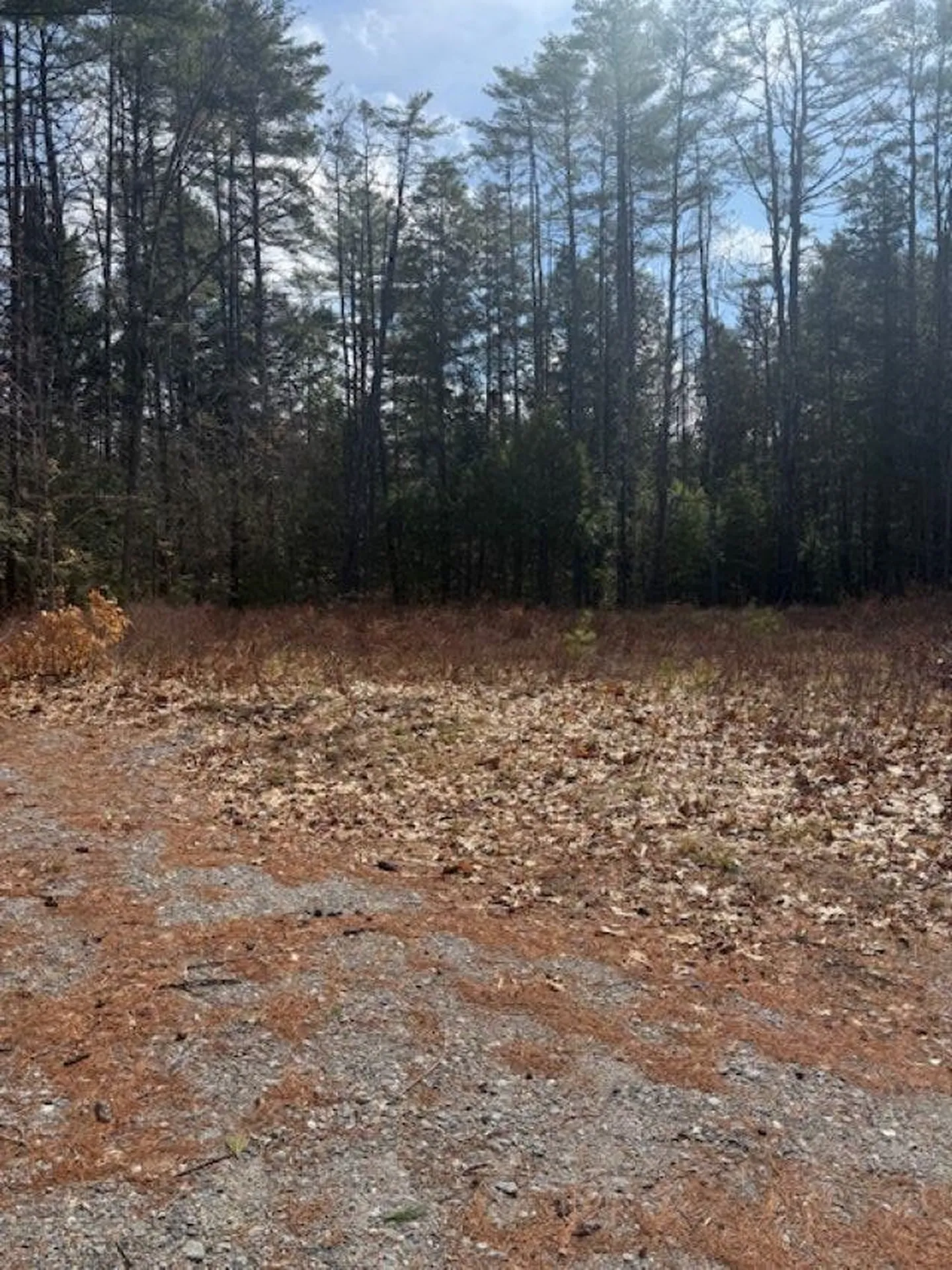 260 Fairgrounds Road Plymouth NH 03264